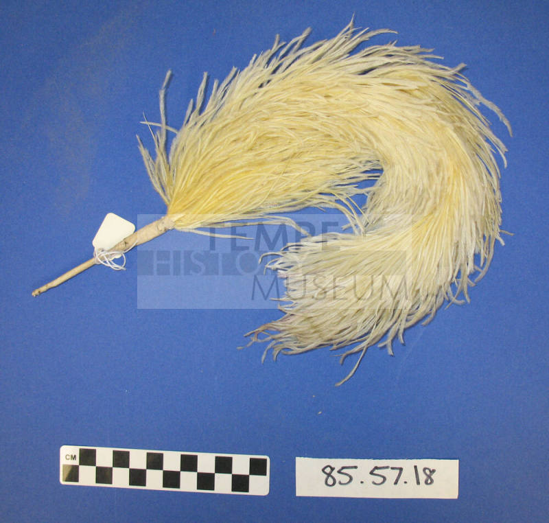 Plume