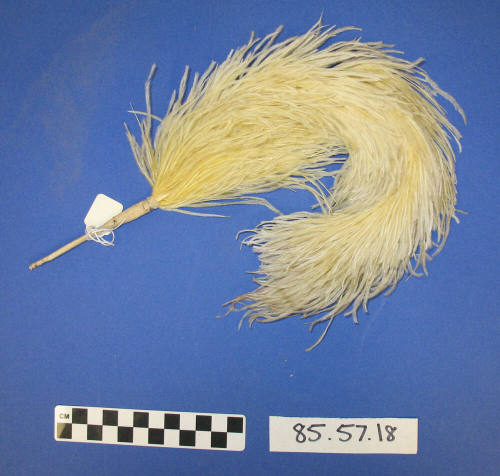 Plume