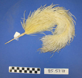 Plume