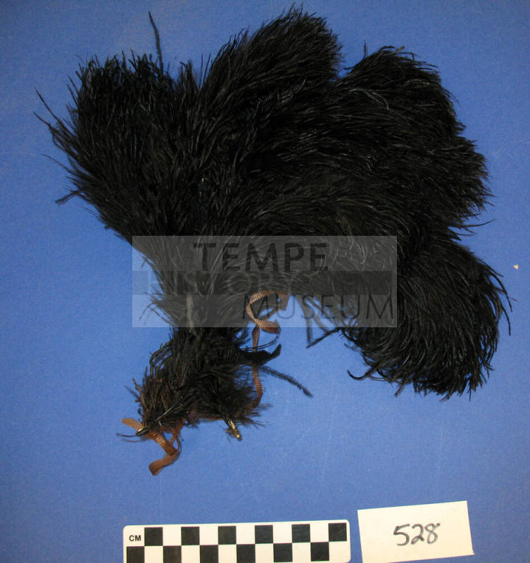 Plumes, Ostrich