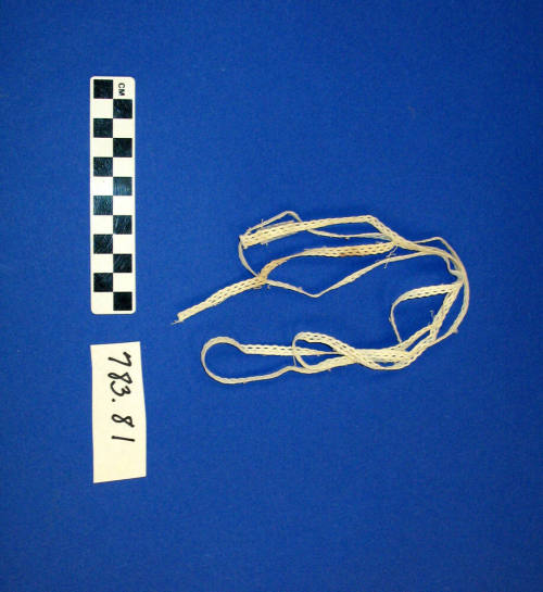 Lace fragment