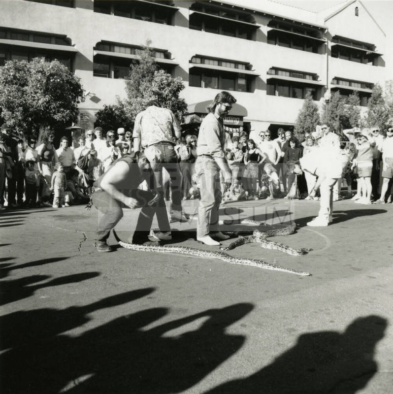 Tempe Magazine Summer Issue 1988: Second Annual Mill Landing Great Snake Race