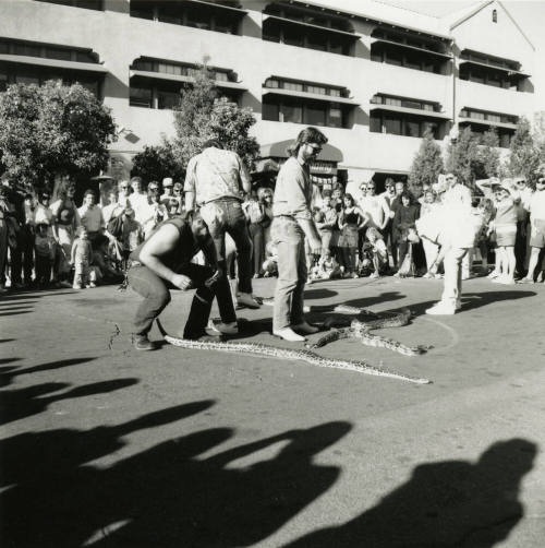 Tempe Magazine Summer Issue 1988: Second Annual Mill Landing Great Snake Race