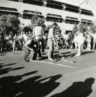 Tempe Magazine Summer Issue 1988: Second Annual Mill Landing Great Snake Race