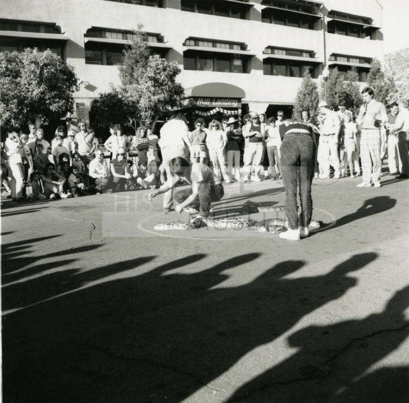 Tempe Magazine Summer Issue 1988: Second Annual Mill Landing Great Snake Race