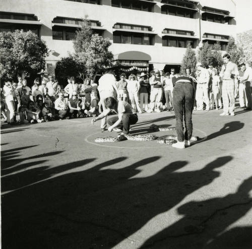 Tempe Magazine Summer Issue 1988: Second Annual Mill Landing Great Snake Race