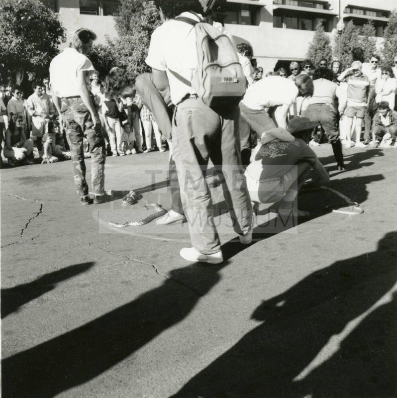 Tempe Magazine Summer Issue 1988: Second Annual Mill Landing Great Snake Race