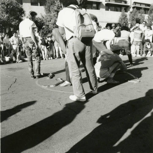 Tempe Magazine Summer Issue 1988: Second Annual Mill Landing Great Snake Race