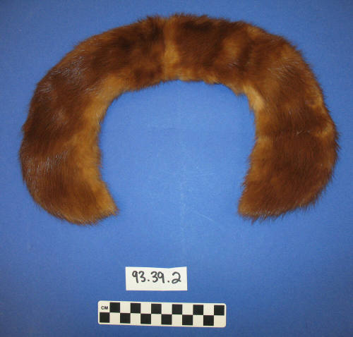 Collar