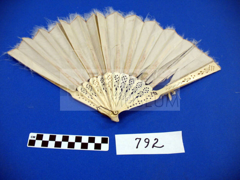 Ivory fan with feather trim