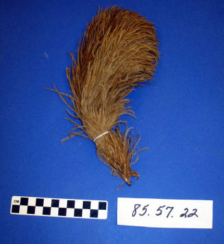 Plume