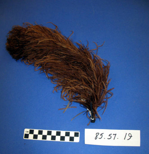 Plume