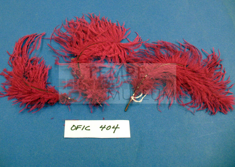 Plumes- Ostrich feathers