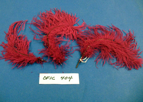 Plumes- Ostrich feathers
