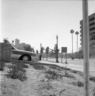 Tempe Police Accreditation