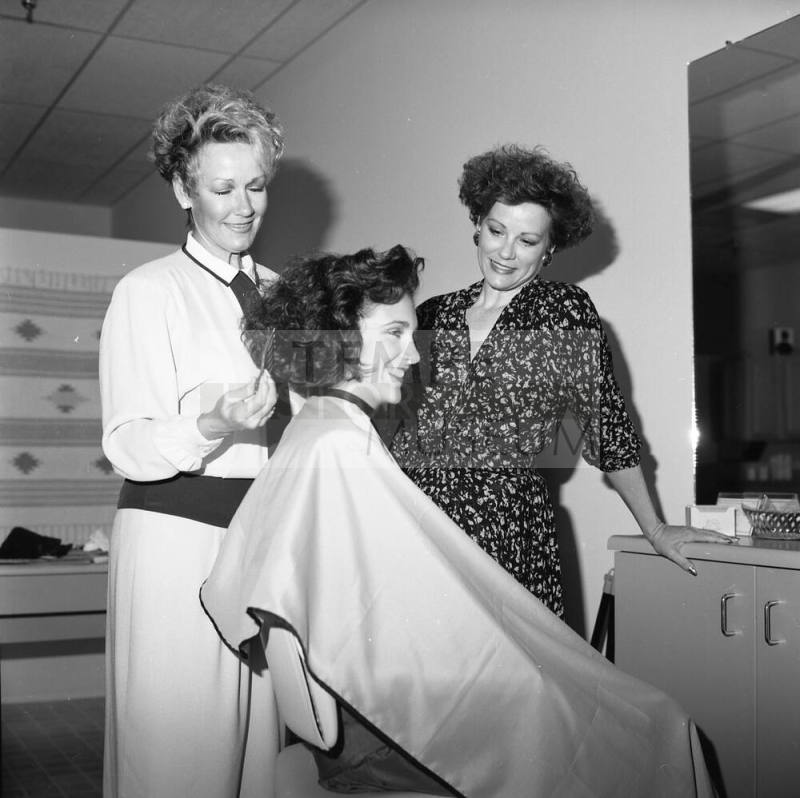 "The Salon" Solution