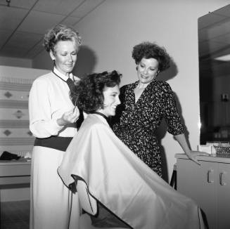 "The Salon" Solution
