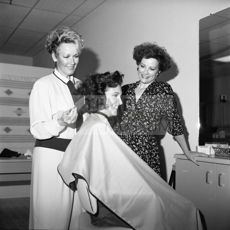 "The Salon" Solution