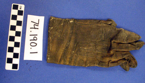 Tan kid gloves