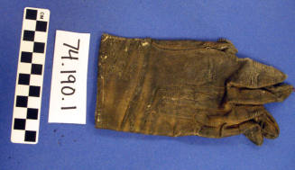 Tan kid gloves