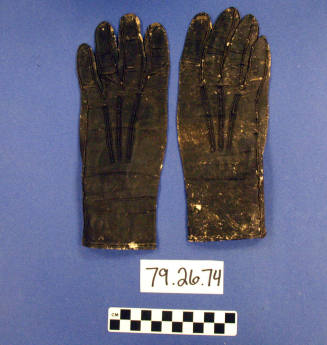 Gloves