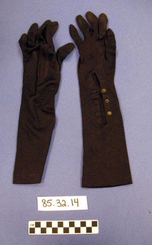 Gloves
