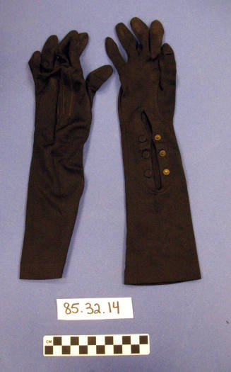 Gloves