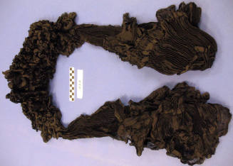 Black silk boa