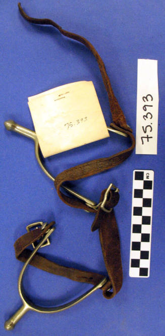 Military Enlisted Man's Spurs