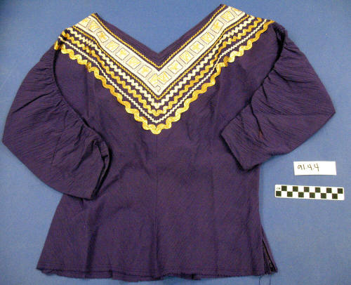 Purple Long Sleeve Embroided V-Neck Squaw Top and Skirt