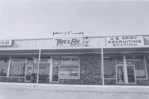 Tropical Fish- Food and Supplies - 1022 North Scottsdale Road, Tempe, Arizona