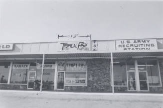 Tropical Fish- Food and Supplies - 1022 North Scottsdale Road, Tempe, Arizona