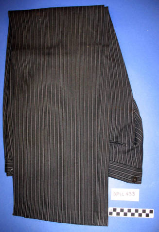 Dress Pants