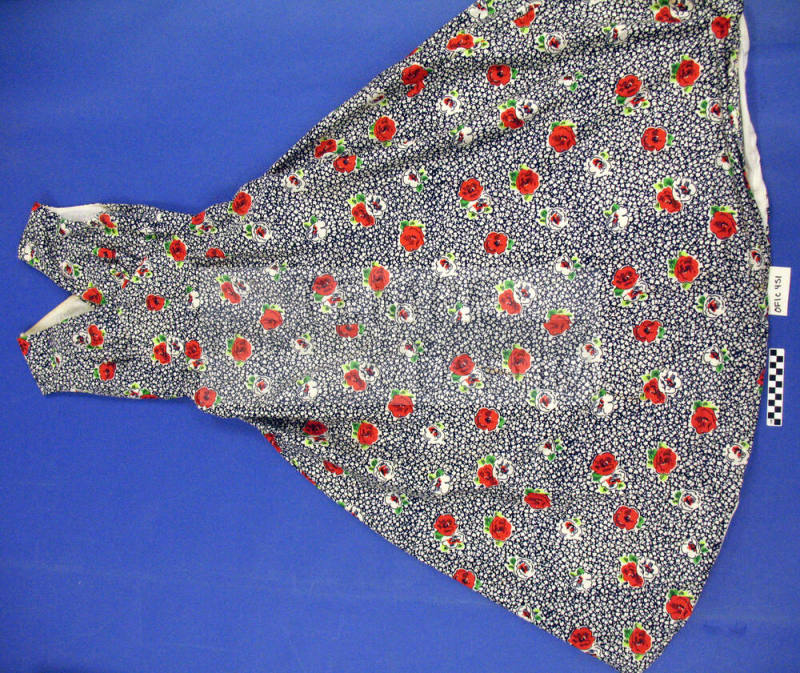 Dress and Shawl