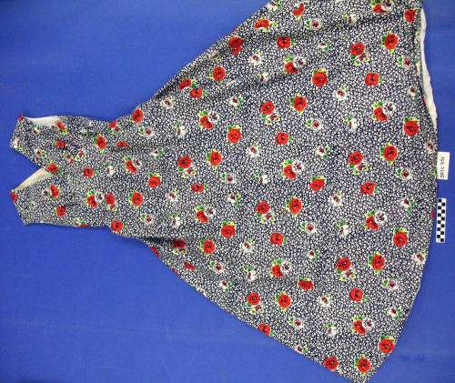 Dress and Shawl
