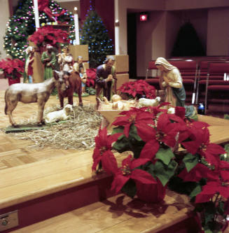 Holy Spirit Christmas Decorations