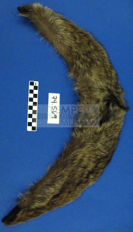 Fur Collar