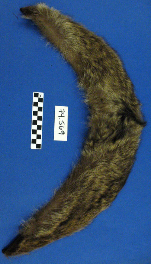 Fur Collar