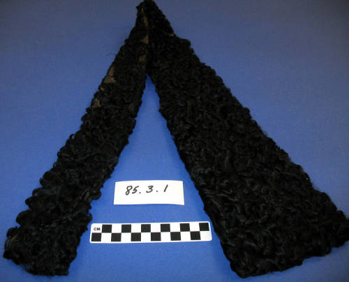 Collar