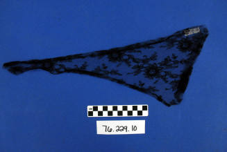 Black net lace
