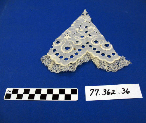 Cotton fragment