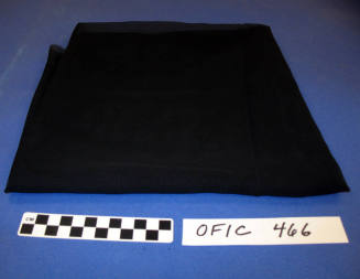 Cloth fragment