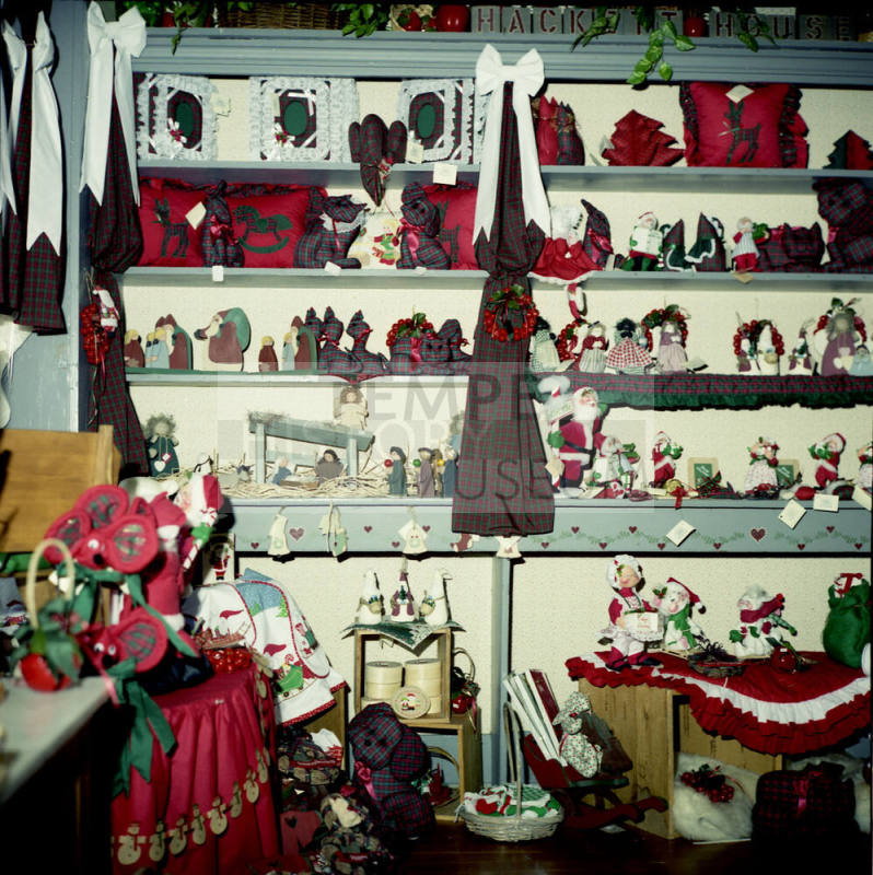 1990 Albuquerque Sister City Convention Display Board Picture