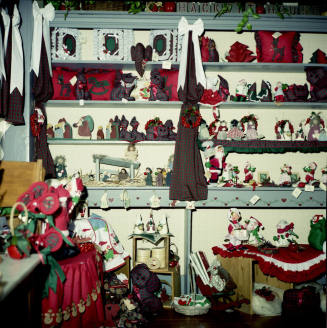1990 Albuquerque Sister City Convention Display Board Picture