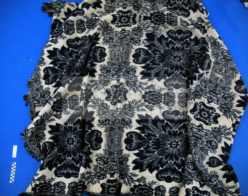 Coverlet