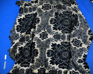 Coverlet