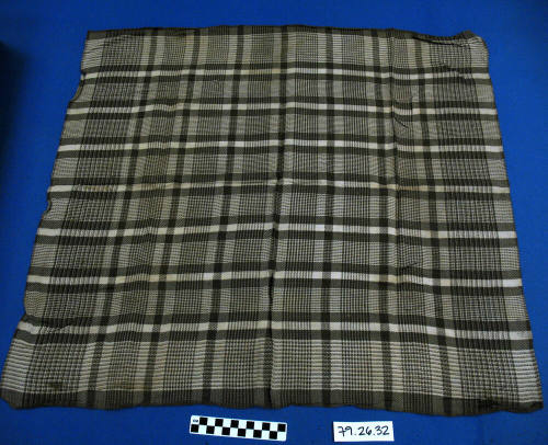 Scarf, Womens