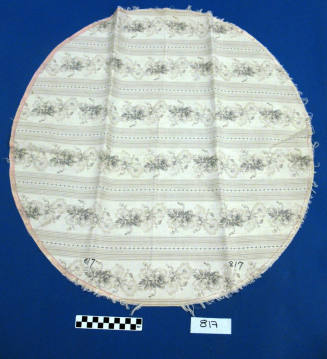 Doily