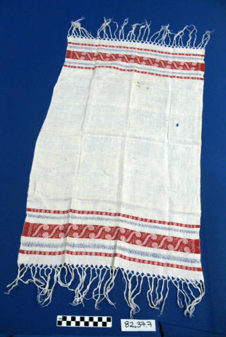 Red and White Dish Towel with Fringe