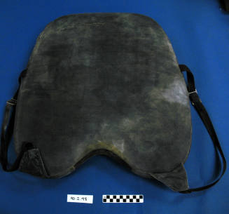 Catcher's Chest Protector